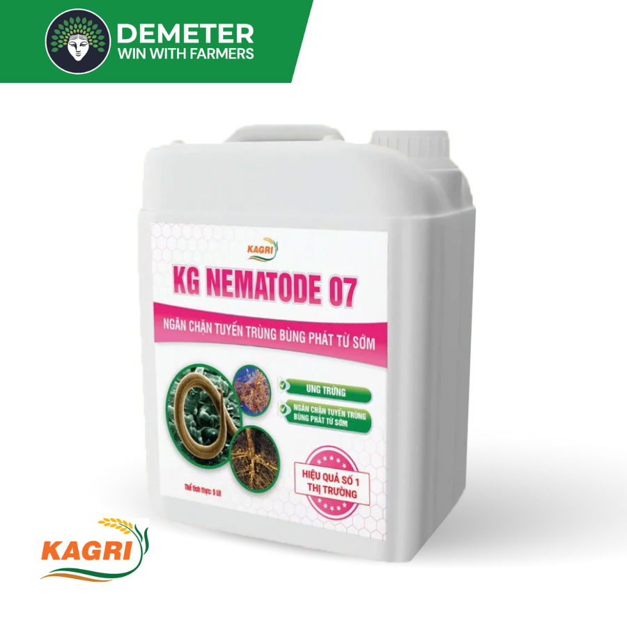 Image Product
